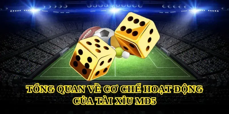 Tổng quan về cơ chế hoạt động của Tài xỉu md5