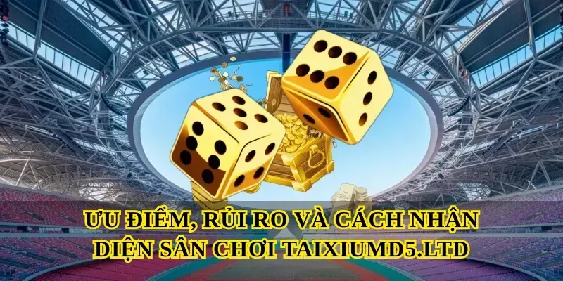 Ưu điểm, rủi ro và cách nhận diện sân chơi Taixiumd5.ltd